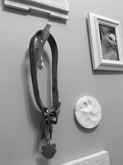 Pet's collar hangs in a vet's office