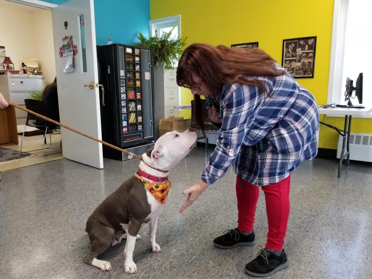 Dee Schaefer interacts with pit bull