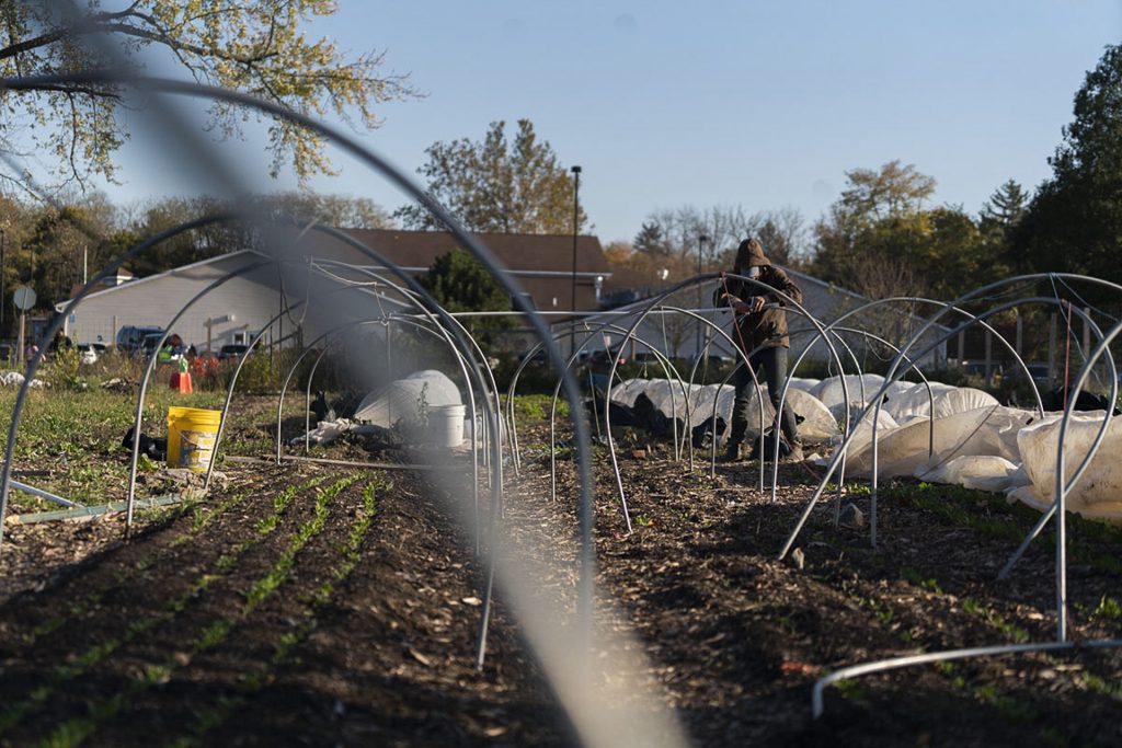 Alice Gallagher puts up hoops to protect winter crops. In the winter months, the farm harvests and retains crops that will be harvested in the spring.