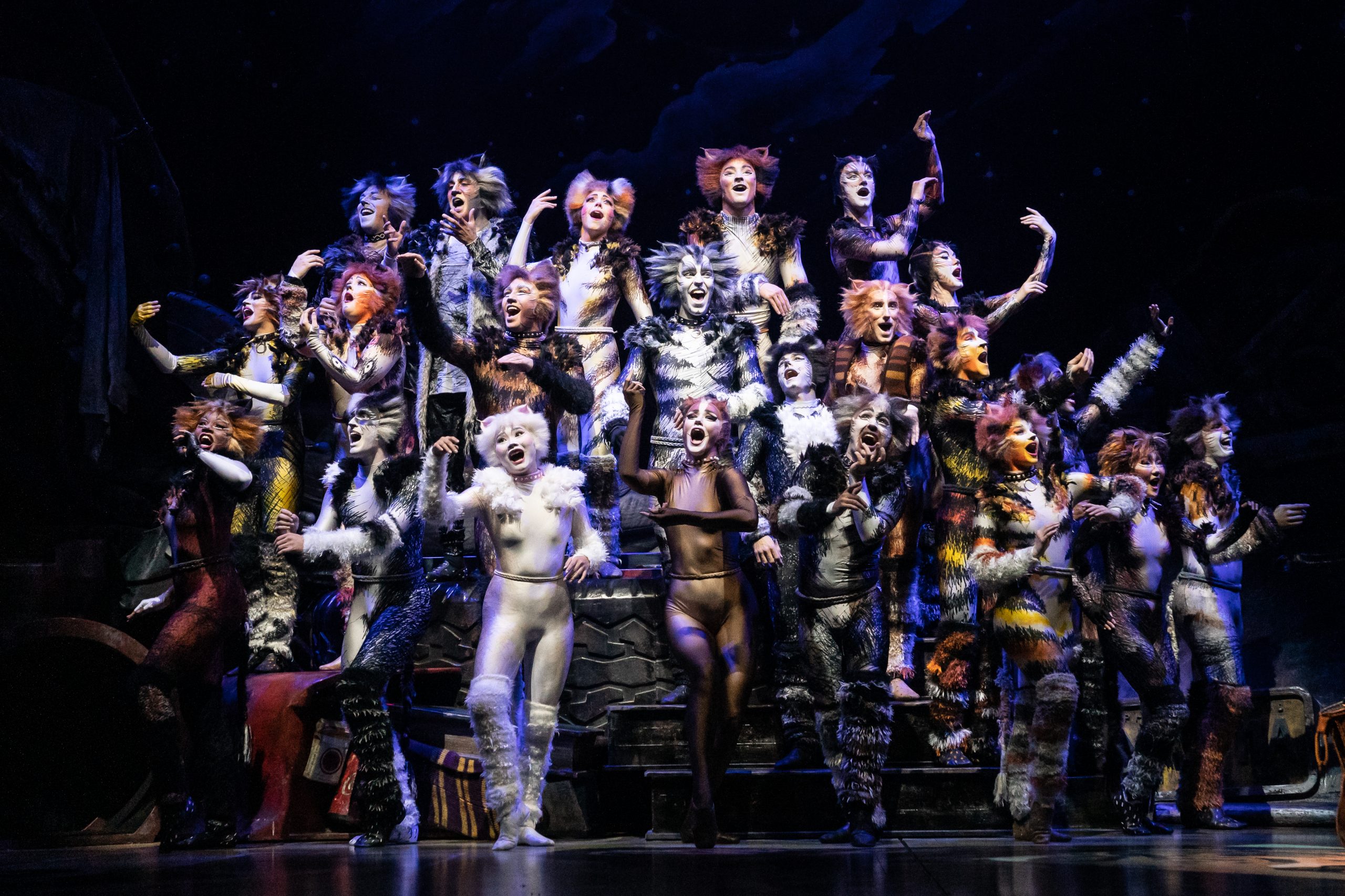 The company of the 2021-2022 national tour of CATS