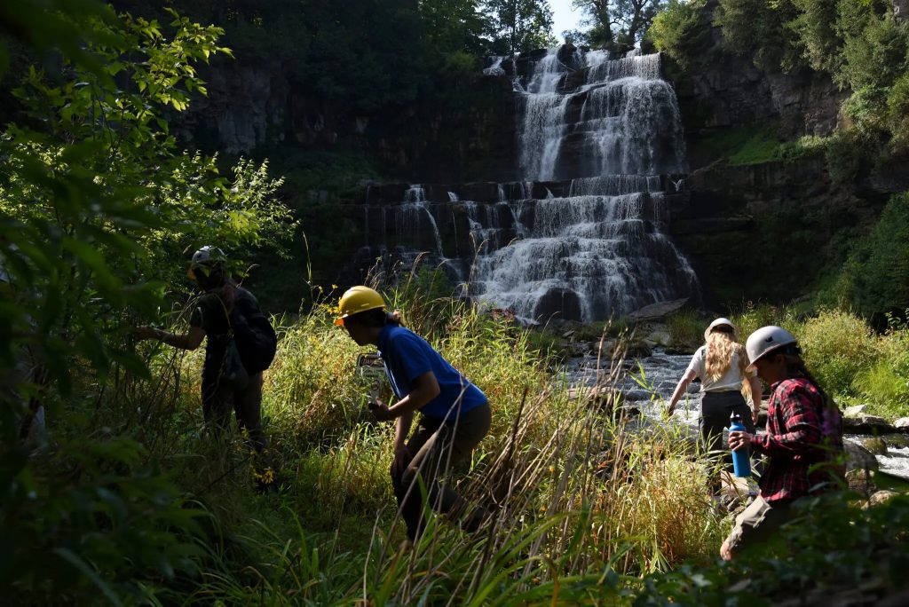 People in hard hats walking around a grassy area with a waterfall and shallow creek in the background.
