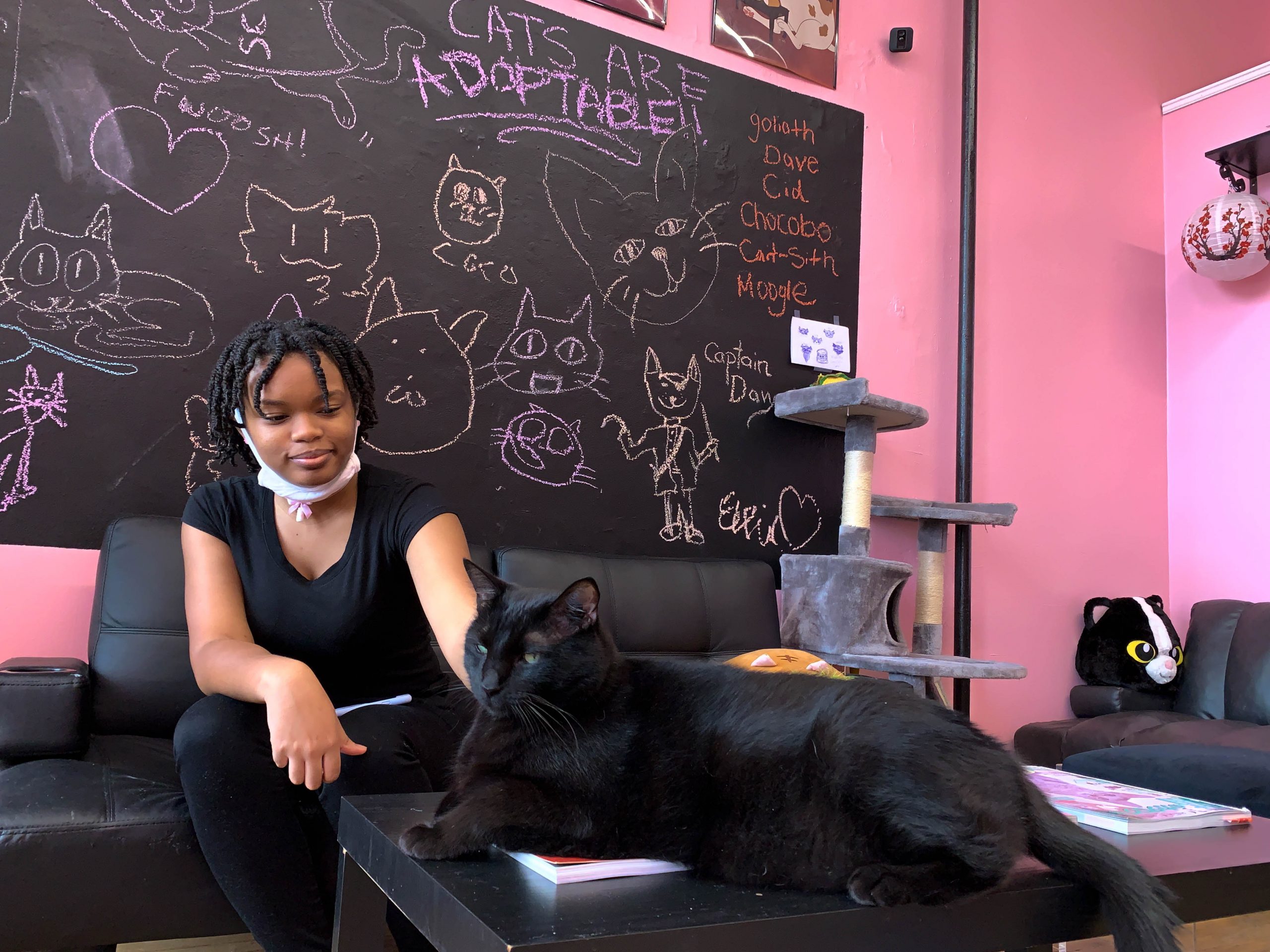 Kamanii Hicks, a server at the Luna Cafe, enjoys a break in the cat room while preparing to open the cafe.