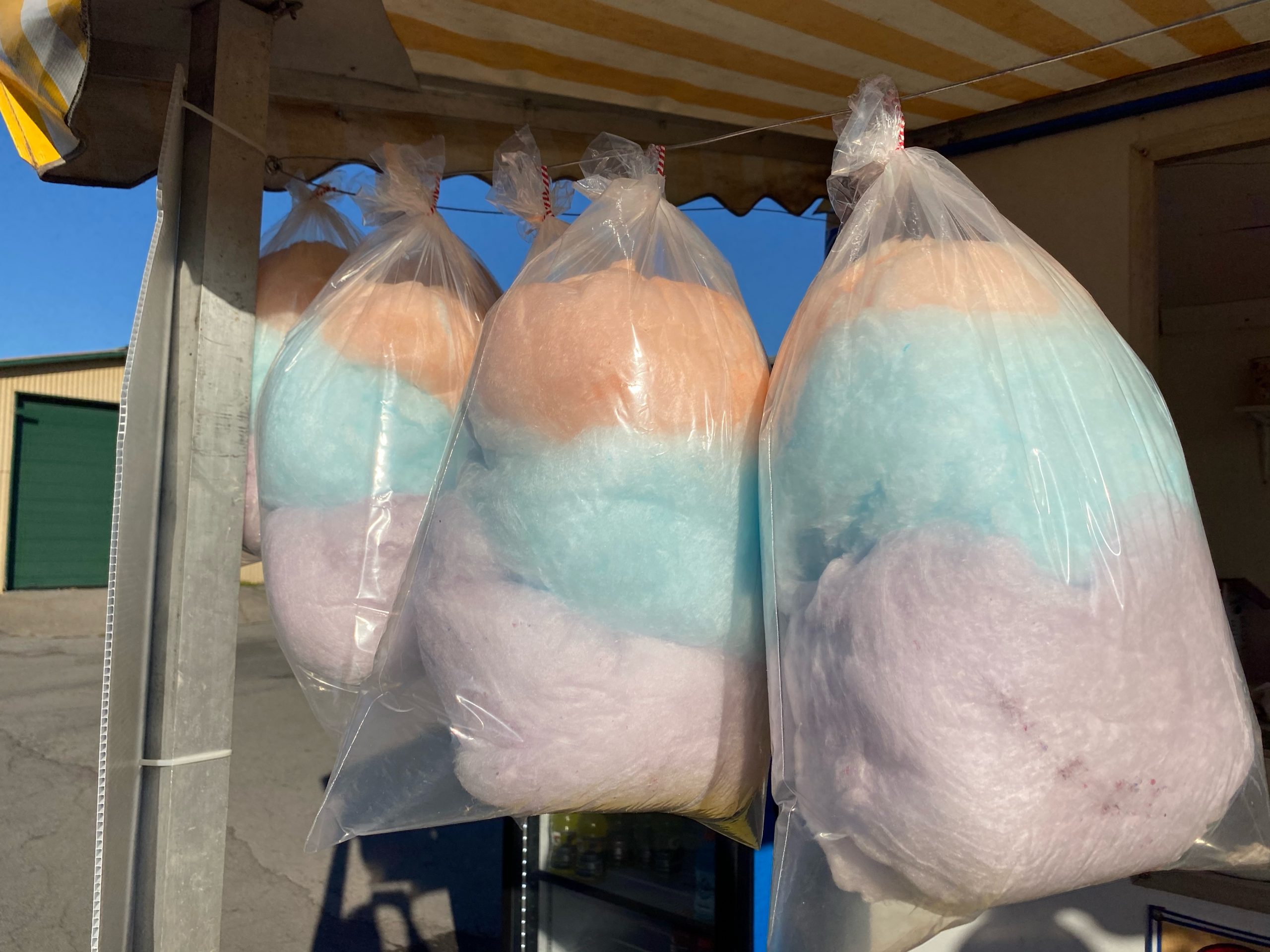New York State Fair 2021 Food - Cotton Candy