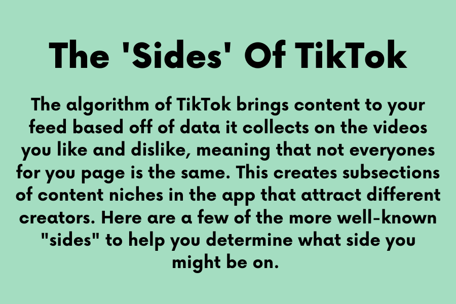 The 'Sides' of TikTok Graphic