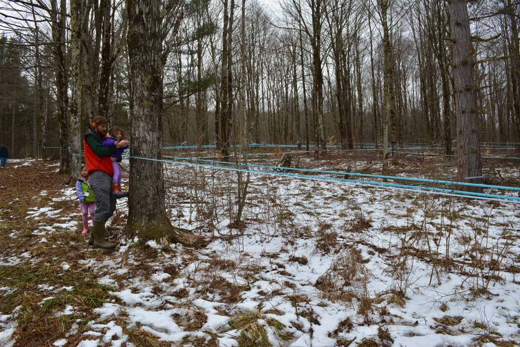 A group of Maple Weekend event visitors walk through SweeTrees Maple’s forest to learn about sap collection techniques.