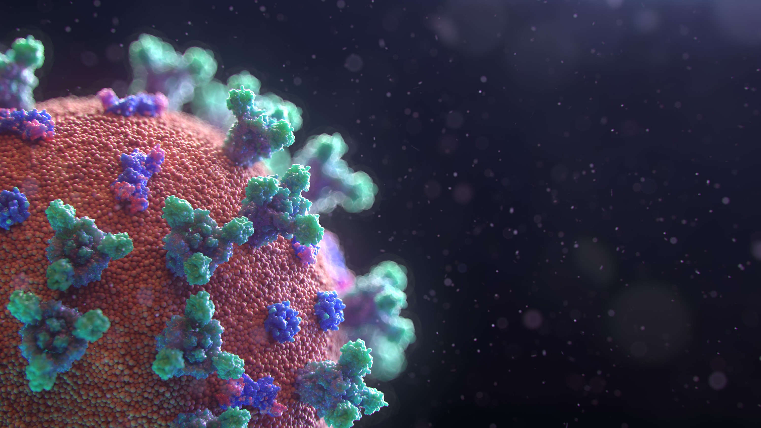 New visualization of the Covid-19 virus