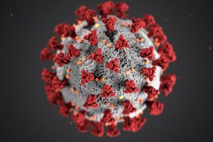 Coronavirus Model By CDC