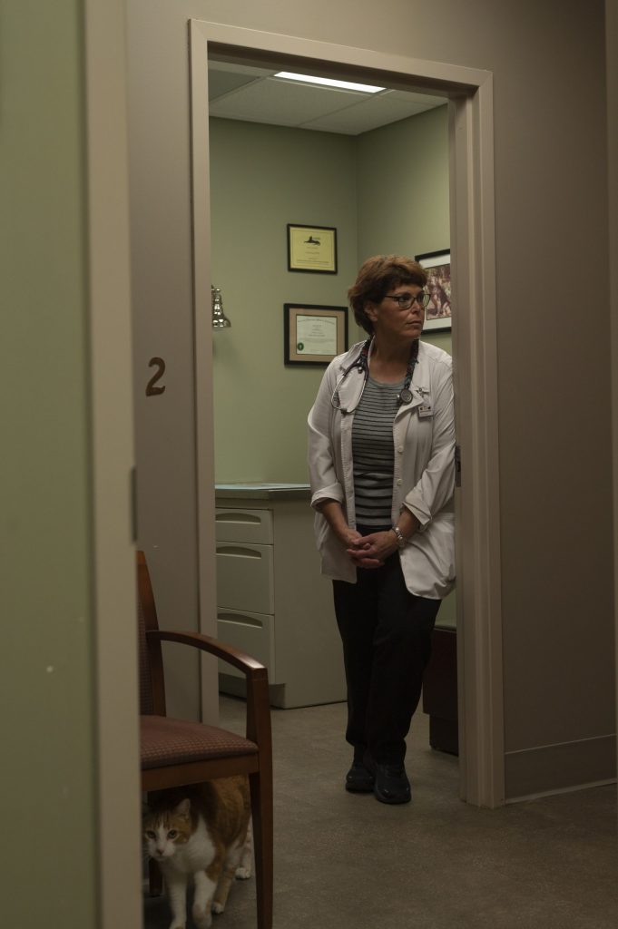 Marcia Ziegler-Alexander, D.V.M. looks outside of the examination room to one of the nurses at Stack Hospital For Pets on Monday, Spetember 19, 2022.