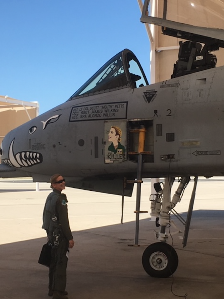 A-10 painting