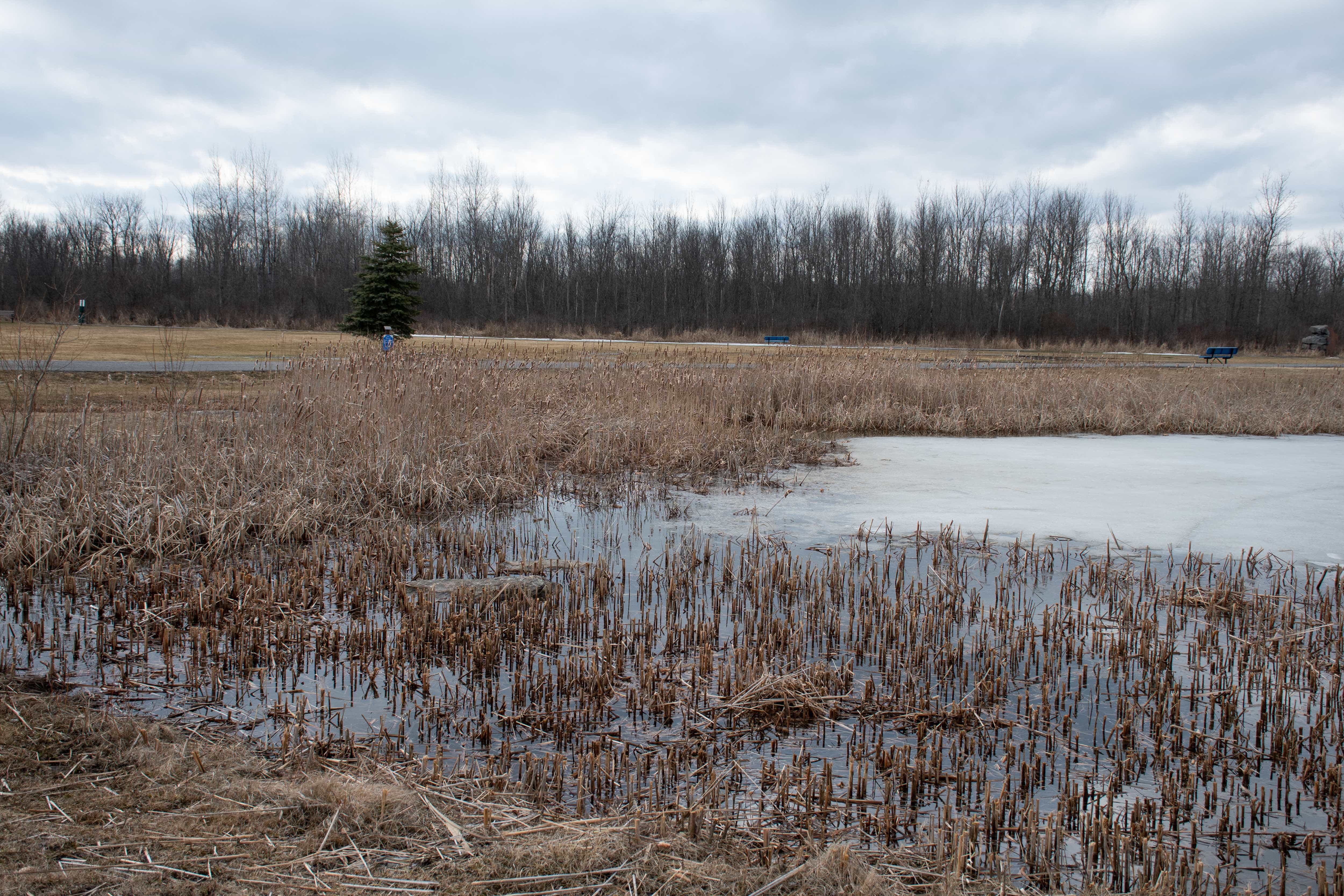 The split between traditionalist and non-traditionalist values is a source of tension in the Akwesasne community. Many community members with traditional values refuse to vote in elections because they feel it was forced on native communities and doesn’t represent their system of government.
