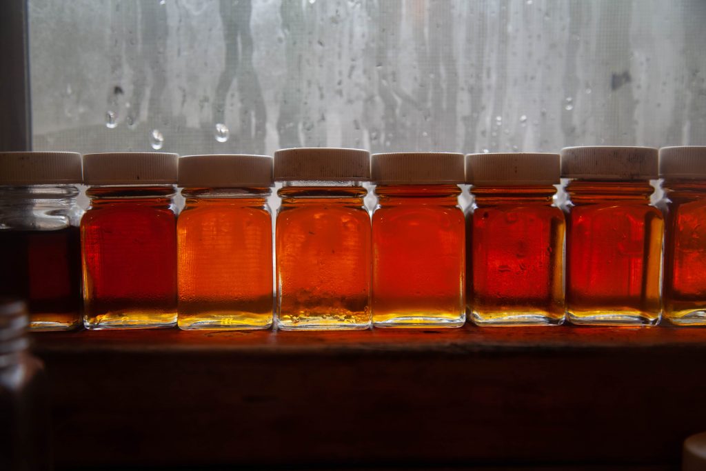Syrup producers keep samples in clear glass jars that reveal the syrup’s color.