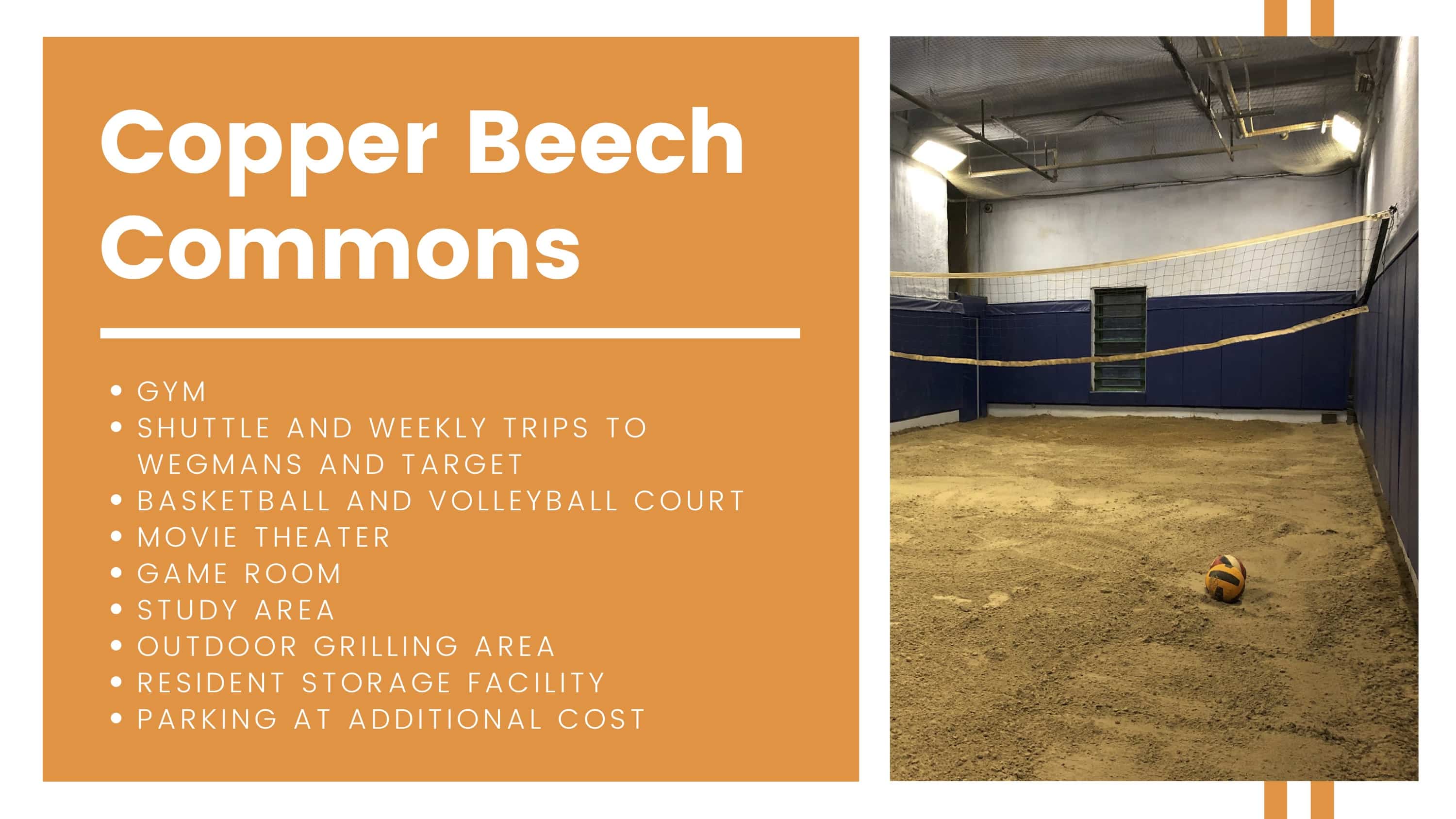 Copper Beech Commons amenities breakdown