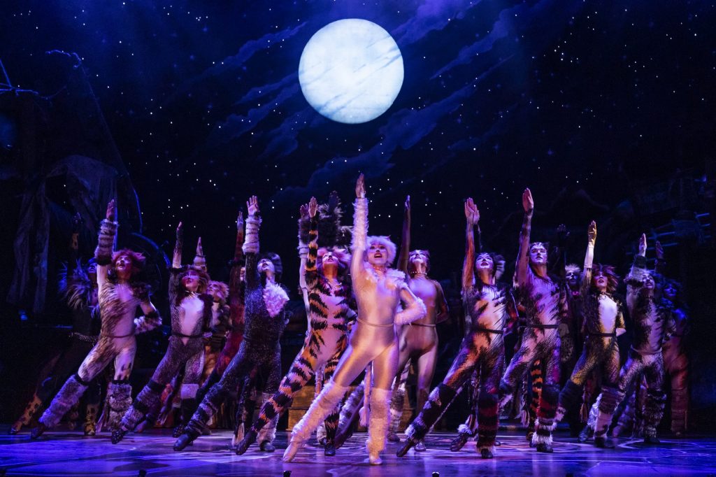 The company of the 2021-2022 national tour of CATS