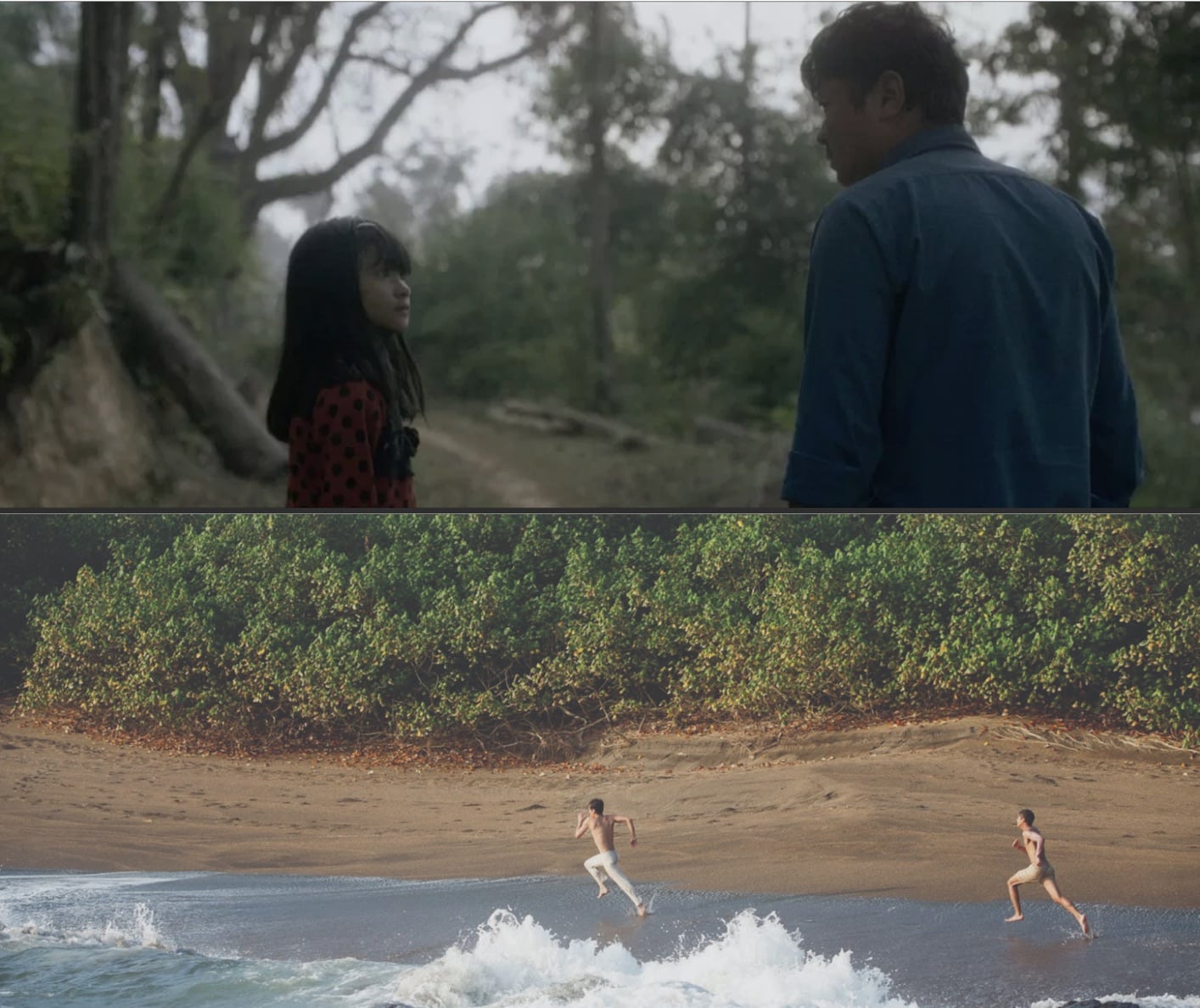 Films to be screened at Syracuse University Human Rights Film Festival