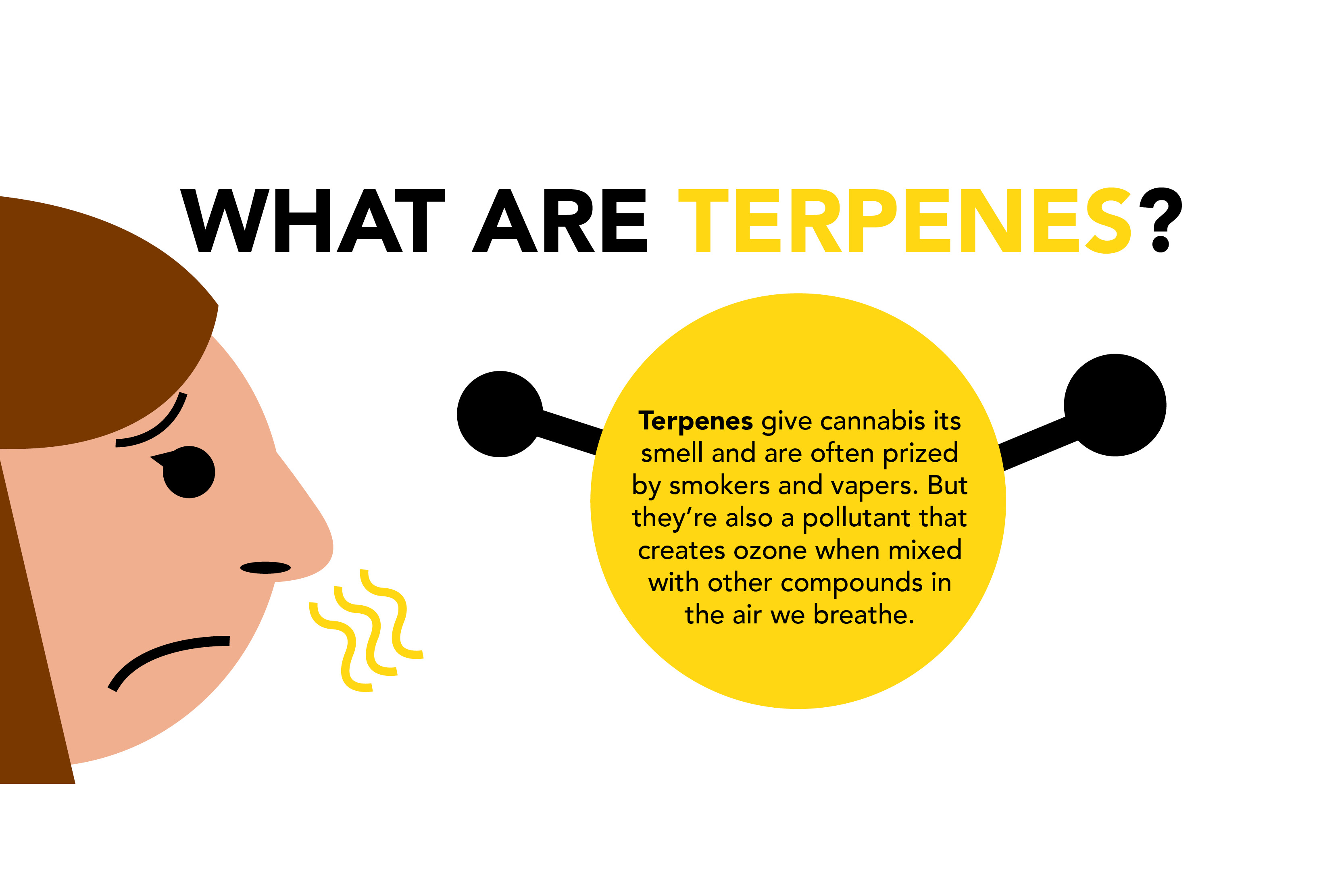 Terpenes Graphic