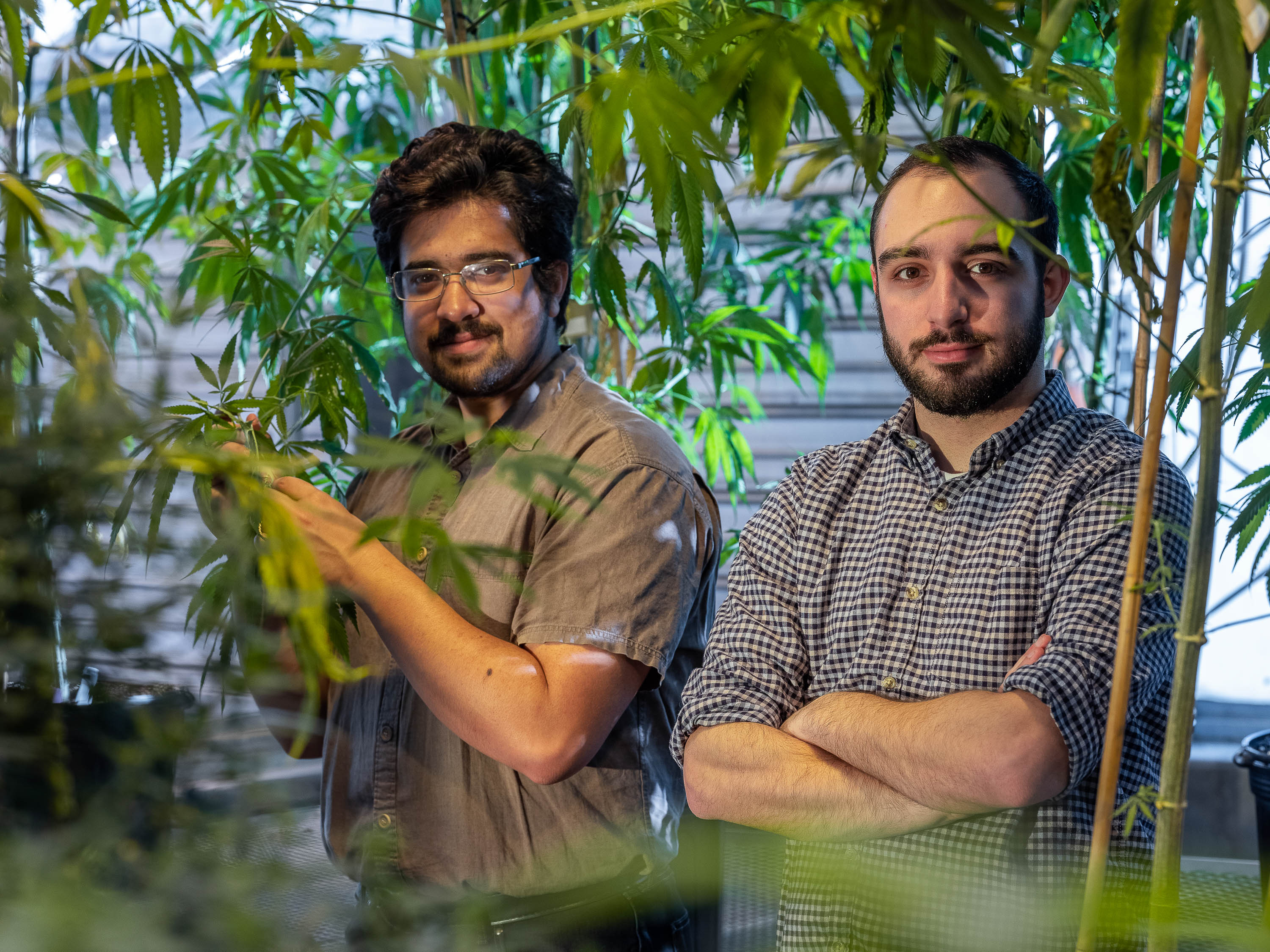 Researchers at Cornell's AgriTech lab in Geneva, N.Y.