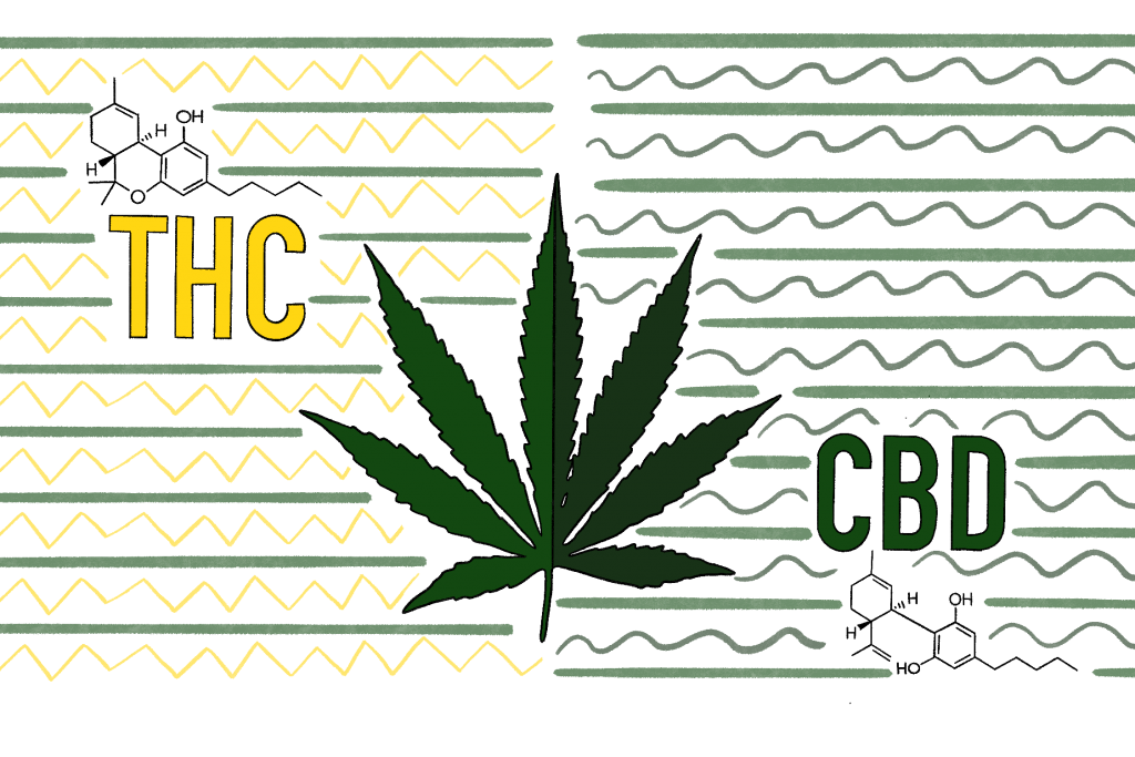 Experts suggest higher THC levels can lead to marijuana addiction The